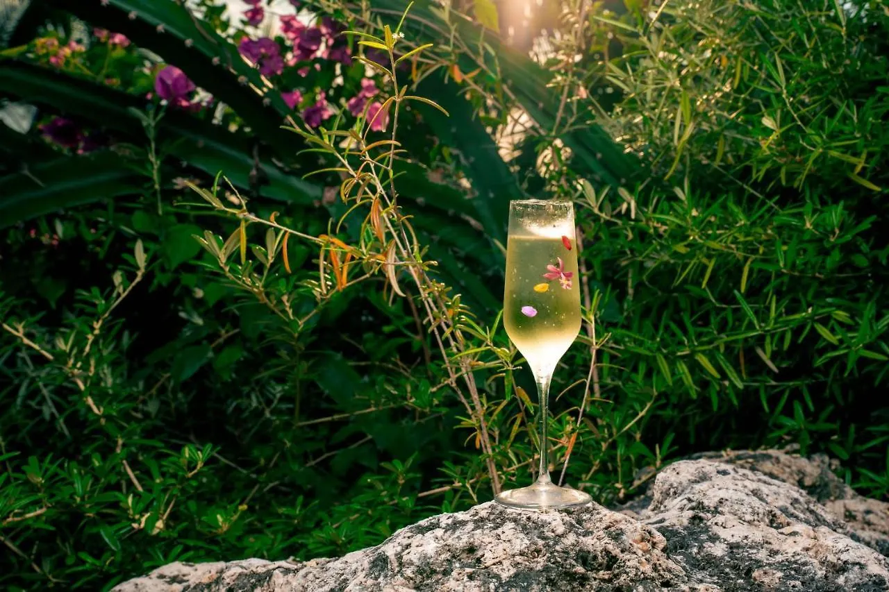 *****  Kimpton Seafire Resort + Spa By Ihg West Bay Cayman-øerne